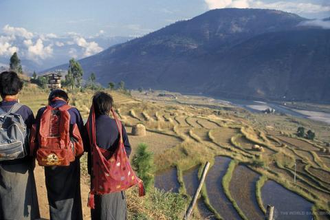 Children looking out on terraced fields. Bhutan. 